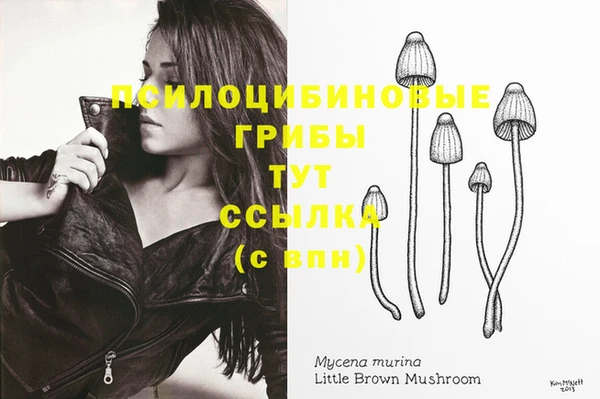 Альфа ПВП Бородино