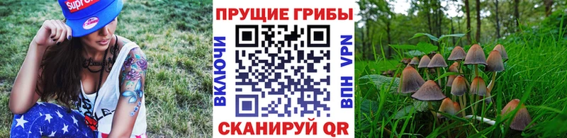 Псилоцибиновые грибы MAGIC MUSHROOMS хочу Севастополь
